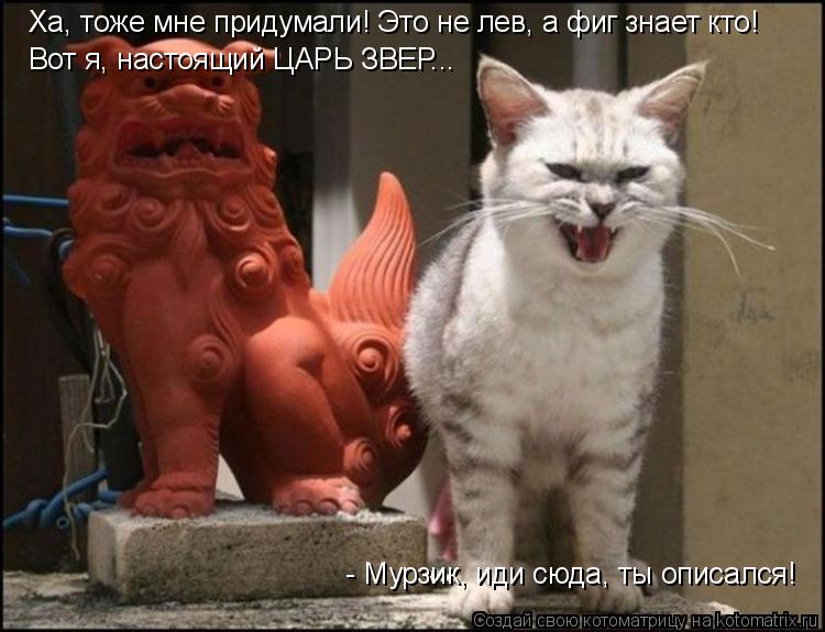 Котоматрица: Ха, тоже мне придумали! Это не лев, а фиг знает кто! Вот я, настоящий ЦАРЬ ЗВЕР...  - Мурзик, иди сюда, ты описался!