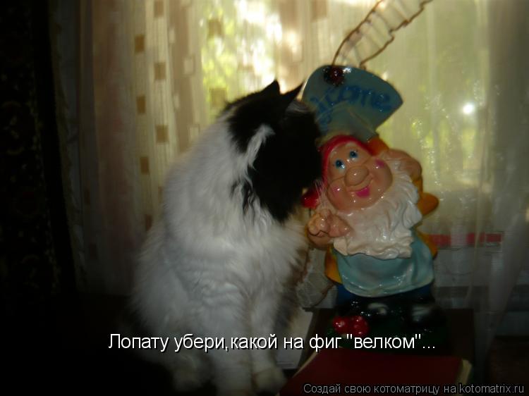 Котоматрица: Лопату убери,какой на фиг "велком"...