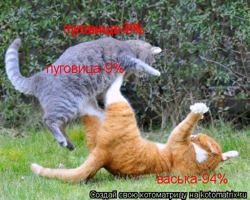 Котоматрица: васька-94% васька-94% пуговица-9% пуговица-9% пуговица-9%