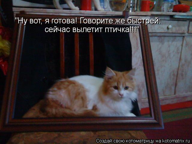 Котоматрица: "Ну вот, я готова! Говорите же быстрей: сейчас вылетит птичка!!!"