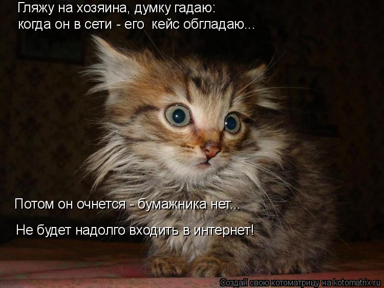 Котоматрица: Не будет надолго входить в интернет! Гляжу на хозяина, думку гадаю: Потом он очнется - бумажника нет... когда он в сети - его  кейс обгладаю...