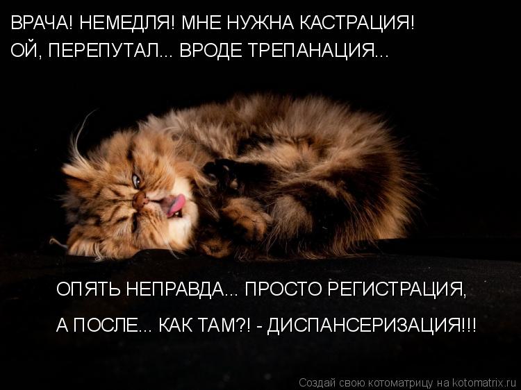 Котоматрица: ВРАЧА! НЕМЕДЛЯ! МНЕ НУЖНА КАСТРАЦИЯ! ОЙ, ПЕРЕПУТАЛ... ВРОДЕ ТРЕПАНАЦИЯ... ОПЯТЬ НЕПРАВДА... ПРОСТО РЕГИСТРАЦИЯ,  А ПОСЛЕ... КАК ТАМ?! - ДИСПАНСЕРИЗ