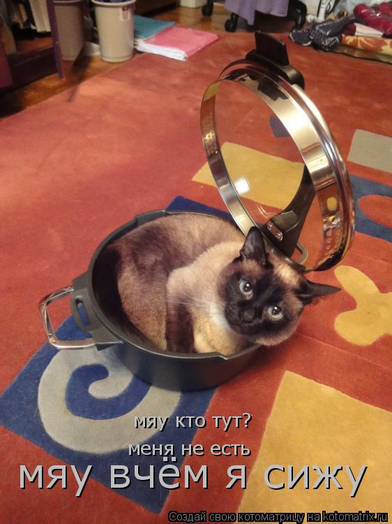 Котоматрица: мяу кто тут? меня не есть мяу вчём я сижу