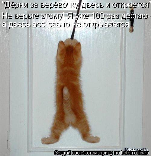 Котоматрица: "Дёрни за верёвочку, дверь и откроется" , Не верьте этому! Я уже 100 раз дёргаю- а дверь всё равно не открывается!