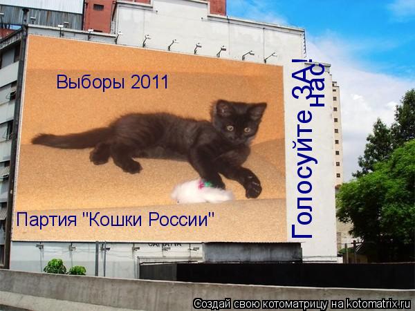 Котоматрица: Выборы 2011 Партия "Кошки России" Голосуйте ЗА! нас