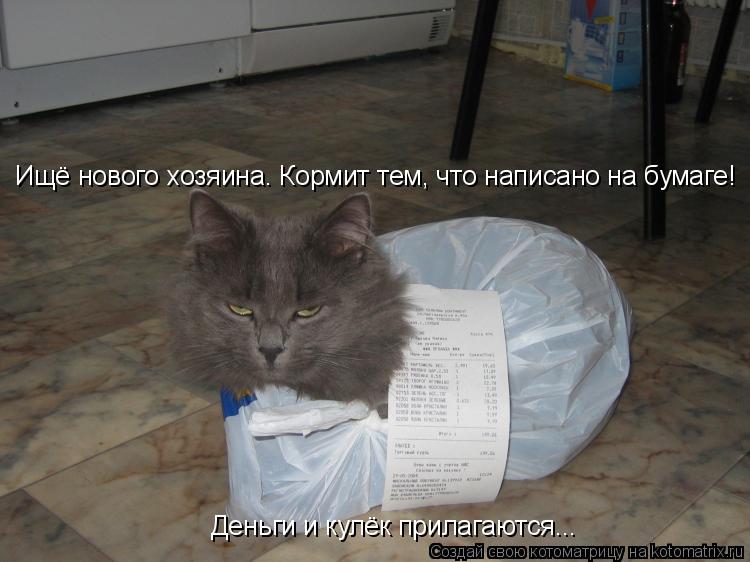 Котоматрица: Ищё нового хозяина. Кормит тем, что написано на бумаге! Деньги и кулёк прилагаются...