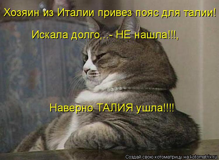 Котоматрица: Хозяин из Италии привез пояс для талии! Искала долго,..- НЕ нашла!!!, Наверно ТАЛИЯ ушла!!!!