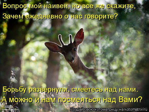Вопрос мой наивен, но все же скажите, Зачем ежедневно о нас говорите? Борьбу развернули, смеетесь над... Котоматрица: Вопрос мой наивен, но все же скажите, Зачем ежедневно о нас говорите? Борьбу развернули, смеетесь над нами. А можно и нам посмеяться над Вами?