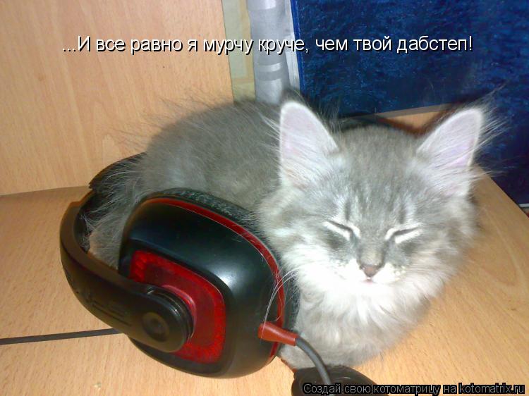 Котоматрица: ...И все равно я мурчу круче, чем твой дабстеп!