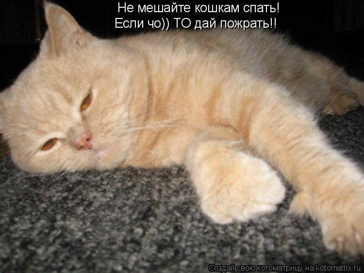 Котоматрица: Не мешайте кошкам спать! Если чо)) ТО дай пожрать!!