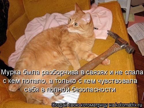 Мурка была разборчива в связях и не спала с кем попало, а только с кем чувствовала себя в полной без... Котоматрица: Мурка была разборчива в связях и не спала с кем попало, а только с кем чувствовала себя в полной безопасности