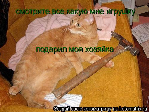 Котоматрица: смотрите все какую мне игрушку подарил мой любимый хозяин смотрите все какую мне игрушку  смотрите все какую мне игрушку  подарил моя хозяй