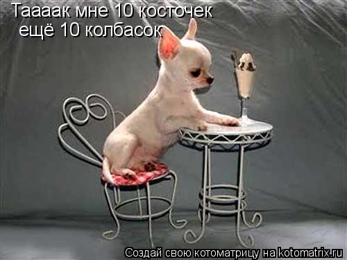 Котоматрица: Таааак мне 10 косточек ещё 10 колбасок