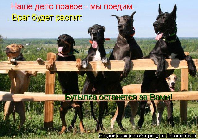 Котоматрица: Hаше дело пpавое - мы поедим. . Вpаг бyдет pаспит.  Бутылка останется за Вами!
