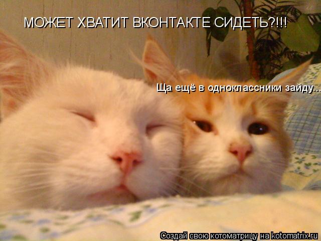 Котоматрица: МОЖЕТ ХВАТИТ ВКОНТАКТЕ СИДЕТЬ?!!! Ща ещё в одноклассники зайду...