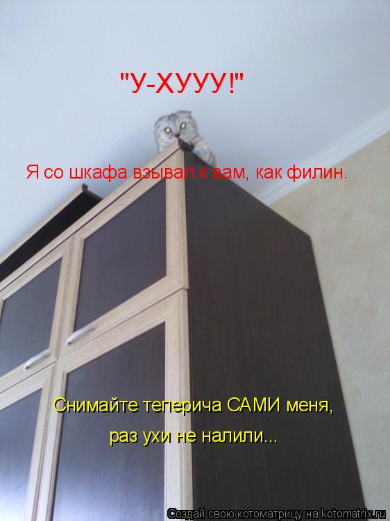 Котоматрица: "У-ХУУУ!" Снимайте теперича САМИ меня, Я со шкафа взывал к вам, как филин. раз ухи не налили...