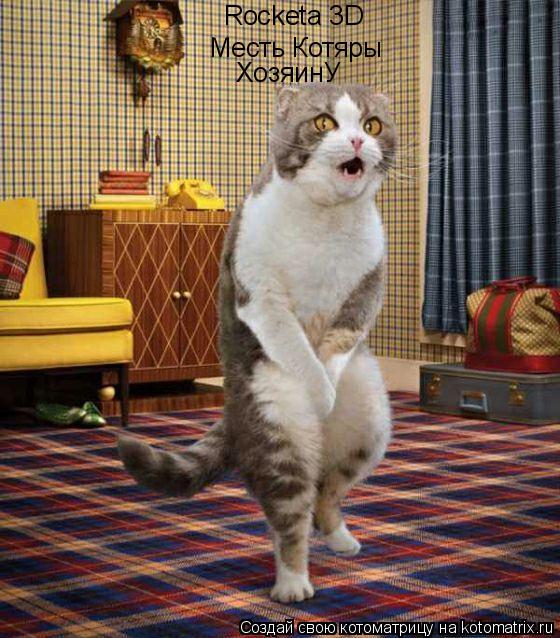 Котоматрица: Rocketa 3D Месть Котяры ХозяинУ