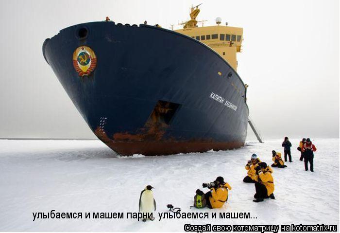 Котоматрица: улыбаемся и машем парни, улыбаемся и машем...