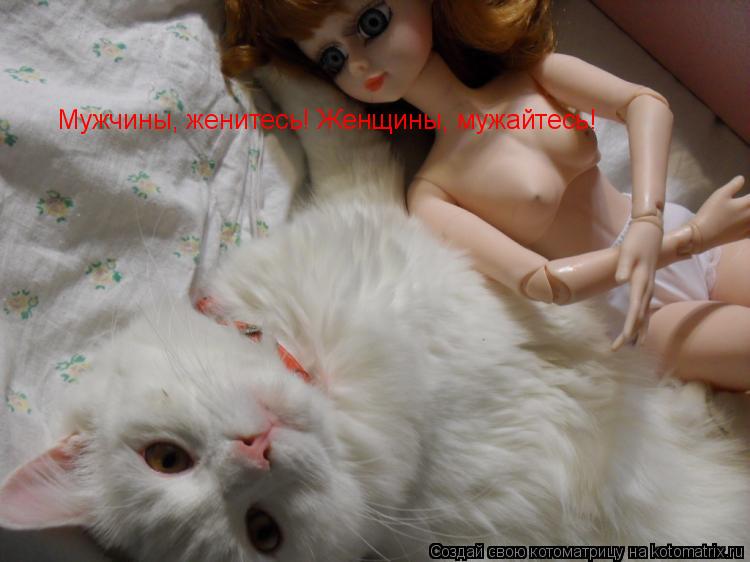 Котоматрица: Мужчины, женитесь! Женщины, мужайтесь!
