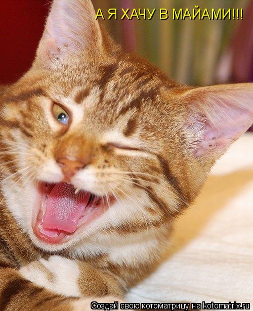 Котоматрица: А Я ХАЧУ В МАЙАМИ!!!
