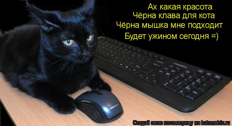 Котоматрица: Ах какая красота  Чёрна клава для кота Чёрна мышка мне подходит Будет ужином сегодня =)