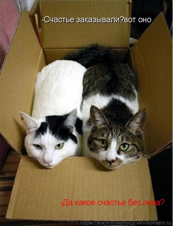 Котоматрица: -Счастье заказывали?вот оно -Да какое счастье без пива?