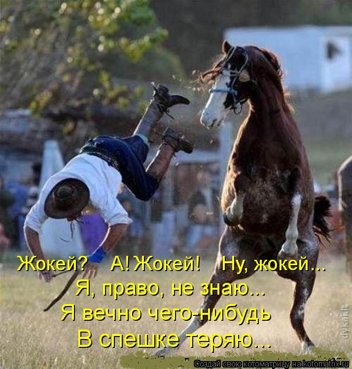 Котоматрица: Жокей?    А! Жокей!    Ну, жокей... Жокей?    А! Жокей!    Ну, жокей... Я, право, не знаю... Я вечно чего-нибудь В спешке теряю...