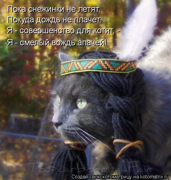 Котоматрица: Пока снежинки не летят, Покуда дождь не плачет, Я - совершенство для котят, - Я - смелый вождь апачей!