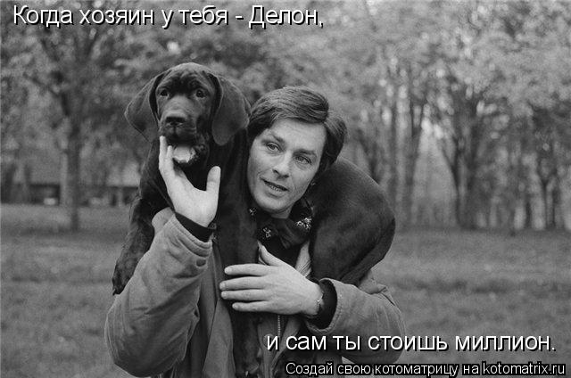 Котоматрица: Когда хозяин у тебя - Делон, и сам ты стоишь миллион.
