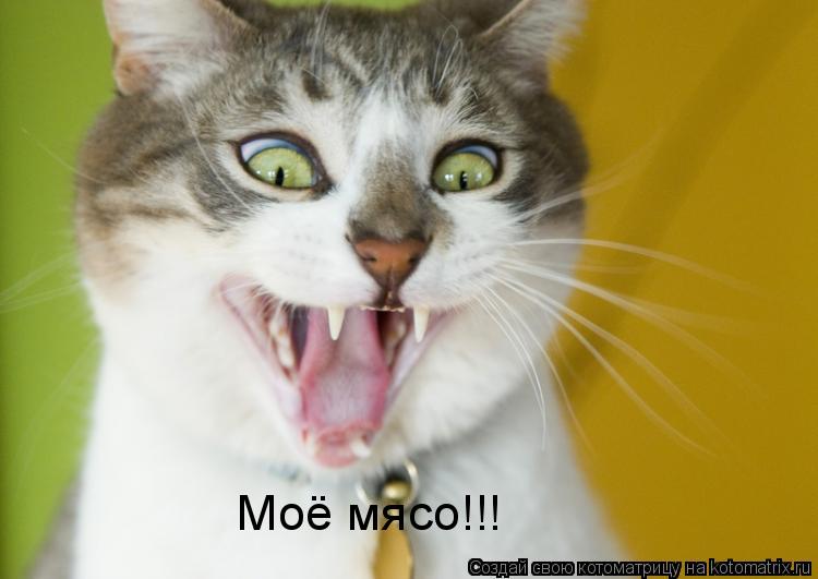 Котоматрица: Моё мясо!!!