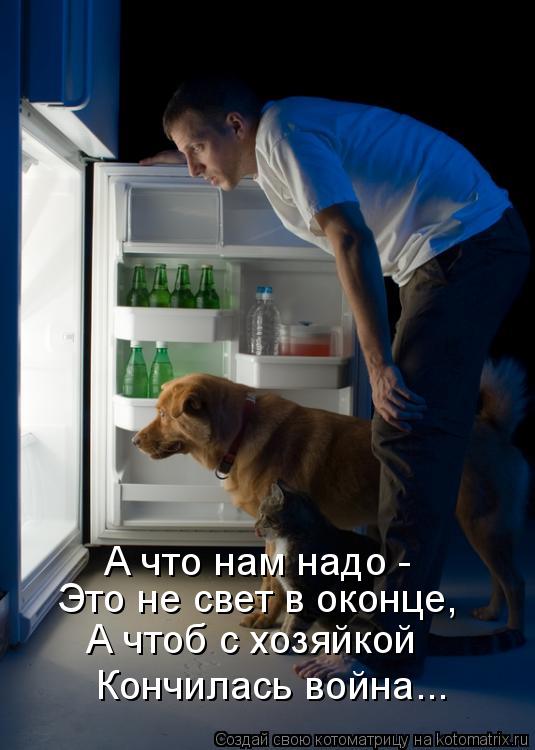 Котоматрица: А что нам надо - Это не свет в оконце, А чтоб с хозяйкой Кончилась война...