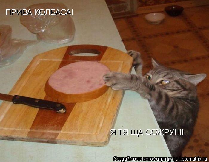 Котоматрица: ПРИВА КОЛБАСА! Я ТЯ ЩА СОЖРУ!!!!