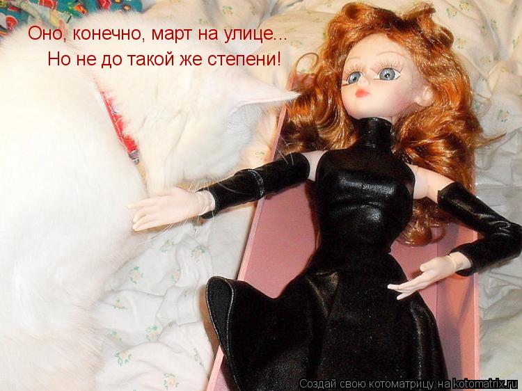 Котоматрица: Оно, конечно, март на улице... Но не до такой же степени!