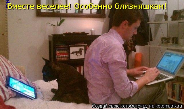 Котоматрица: Вместе веселее! Особенно близняшкам! Вместе веселее! Особенно близняшкам!