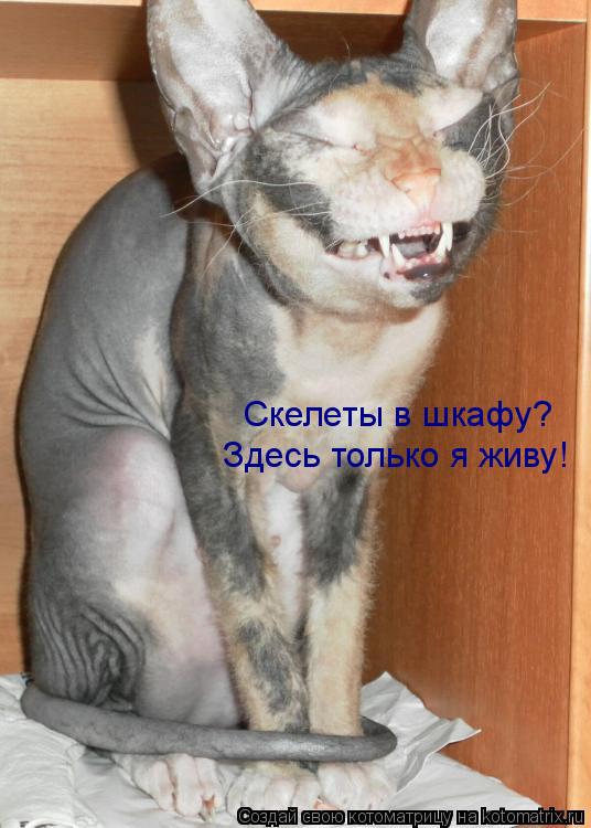 Котоматрица: Скелеты в шкафу?  Здесь только я живу!