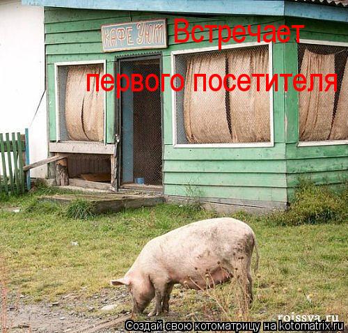 Котоматрица: первого посетителя  Встречает