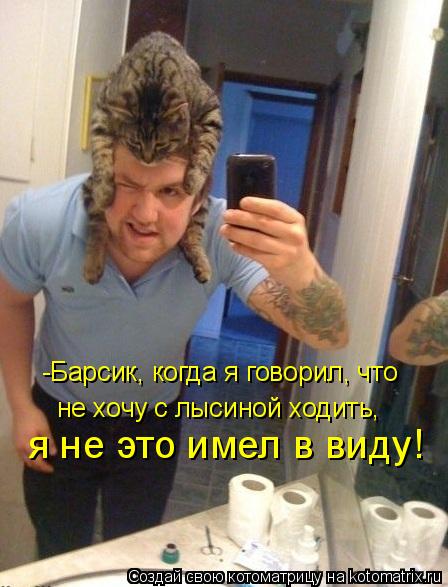 Котоматрица: -Барсик, когда я говорил, что не хочу с лысиной ходить, я не это имел в виду!