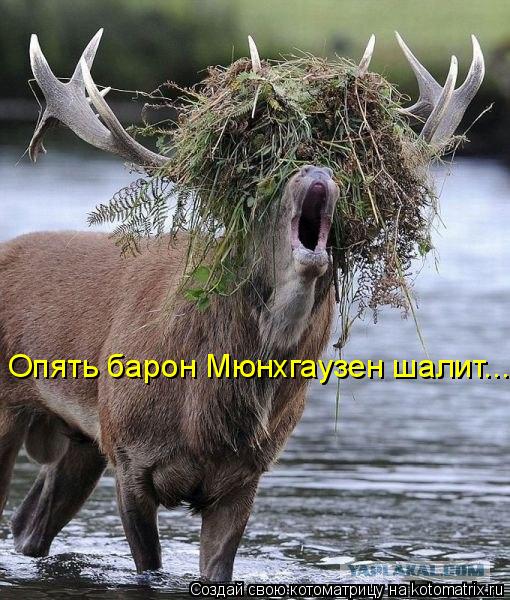 Котоматрица: Опять барон Мюнхгаузен шалит...