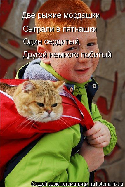 Котоматрица: Две рыжие мордашки Сыграли в пятнашки Один сердитый, Другой немного побитый.