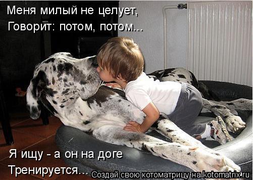 Котоматрица: Меня милый не целует, Говорит: потом, потом... Я ищу - а он на доге Тренируется...
