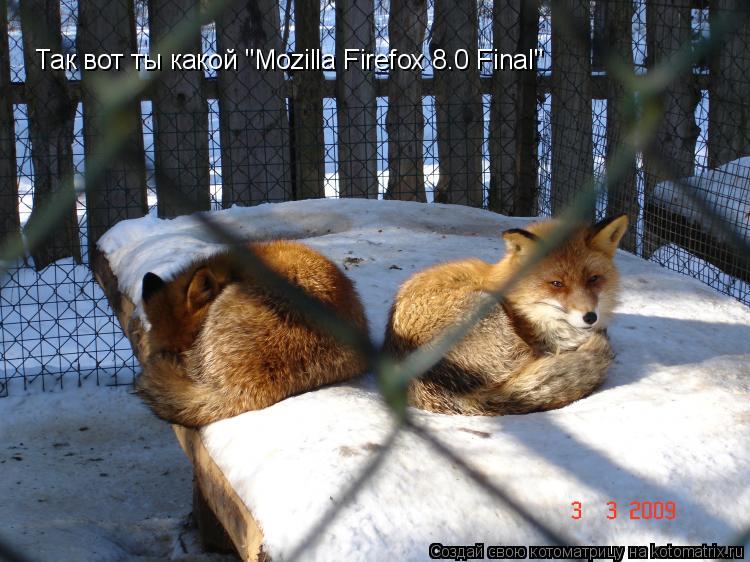 Котоматрица: Так вот ты какой "Mozilla Firefox 8.0 Final"