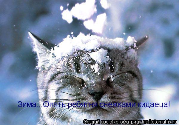 Котоматрица: Зима...Опять ребятня снежками кидаеца!