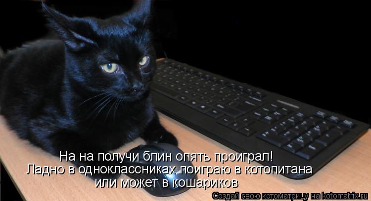 Котоматрица: На на получи блин опять проиграл!   Ладно в одноклассниках поиграю в котопитана или может в кошариков