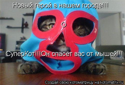 Котоматрица: Новый герой в нашем городе!!! О СуперКот!!!Он спасёт вас от мышей!!!