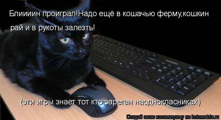 Котоматрица: Блиииин проиграл!Надо ещё в кошачью ферму,кошкин рай и в рукоты залезть! (эти игры знает тот кто зареган наоднокласниках)