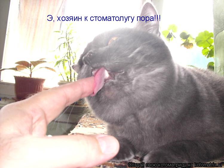 Котоматрица: Э, хозяин к стоматолугу пора!!!