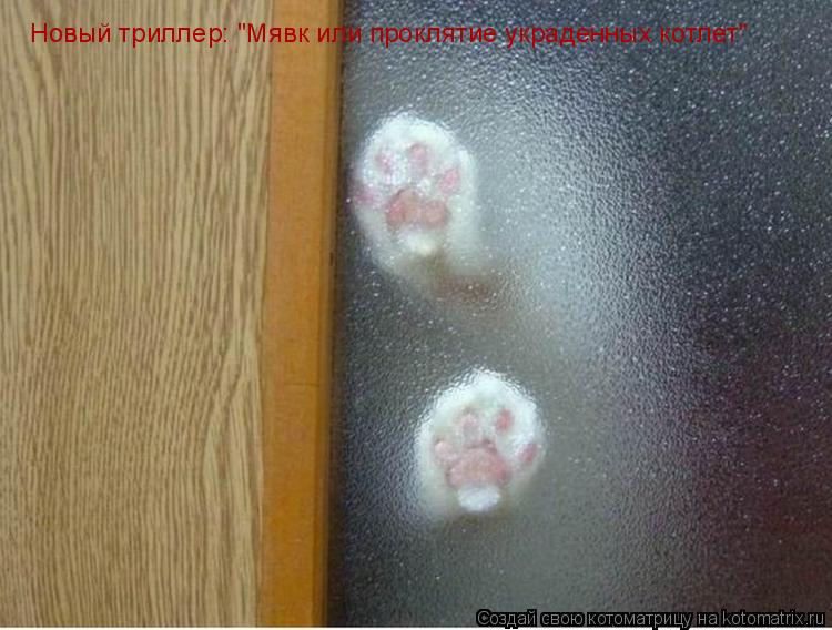 Котоматрица: Новый триллер: "Мявк или проклятие украденных котлет"