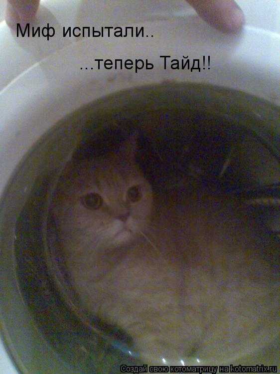 Котоматрица: Миф испытали.. ...теперь Тайд!!