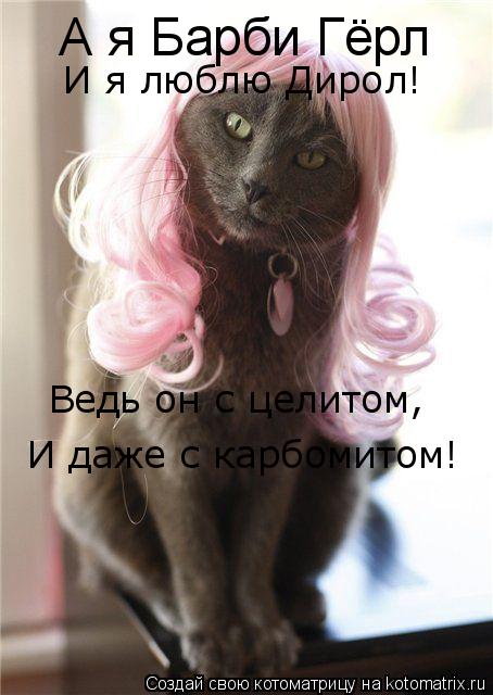 Котоматрица: А я Барби Гёрл И я люблю Дирол! Ведь он с целитом, И даже с карбомитом!