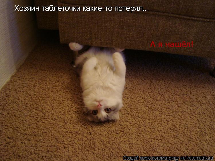 Котоматрица: Хозяин таблеточки какие-то потерял... А я нашёл!